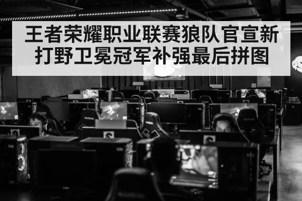 王者荣耀职业联赛狼队官宣新打野卫冕冠军补强最后拼图