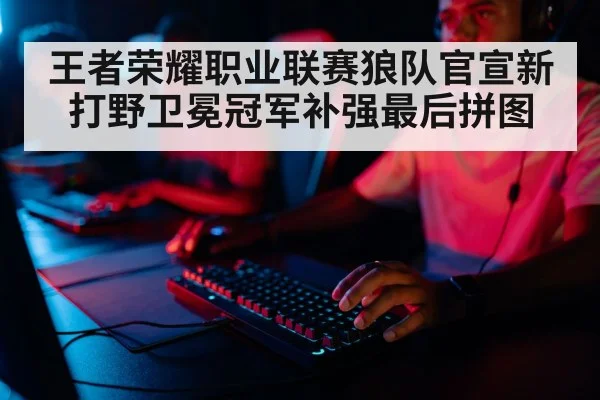 professional gamer
