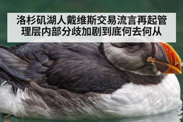 洛杉矶湖人戴维斯交易流言再起管理层内部分歧加剧到底何去何从