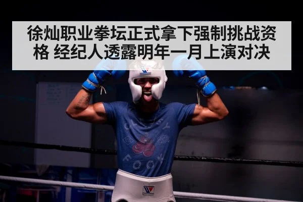徐灿职业拳坛正式拿下强制挑战资格 经纪人透露明年一月上演对决